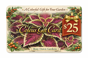 $25 Rosy Dawn Gift Card